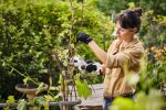 HERRAMIENTA DE PODA STIHL ASA 20 - Imagen 3