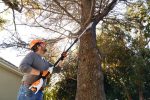 PODADORA DE ALTURA STIHL HTA 50 (CON BATERÍA Y CARGADOR) - Imagen 2
