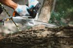 MOTOSIERRA STIHL MS194T - Imagen 2